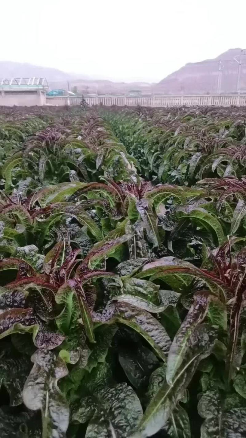 甘肃兰州
