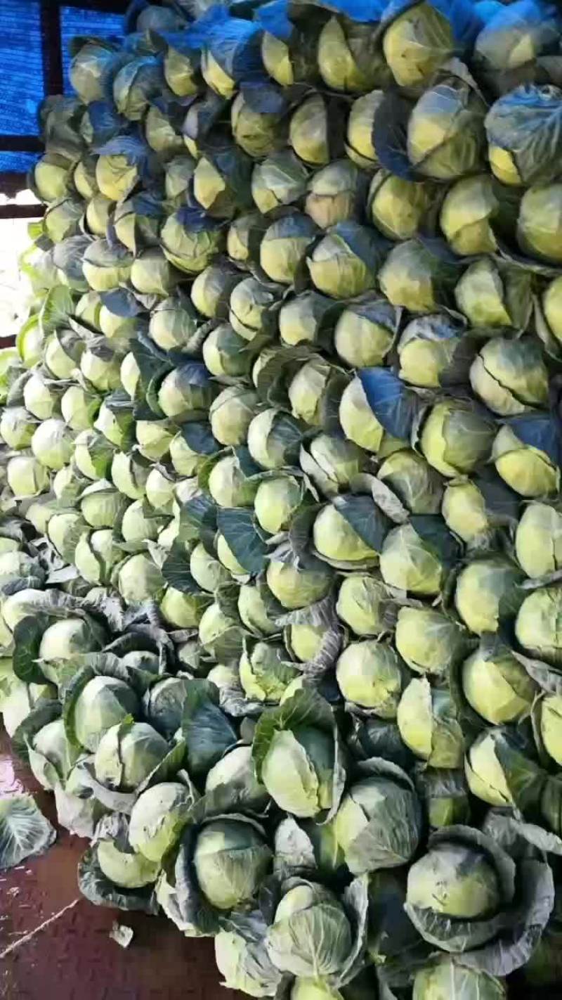 大量现货价格美丽欢迎下