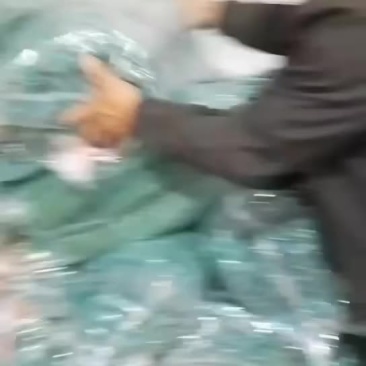 安徽苇叶，质量好价格优