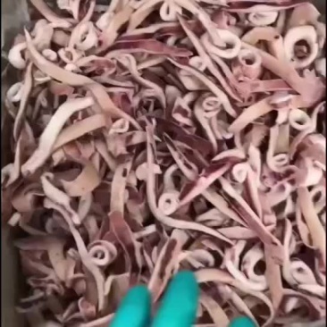小飞燕，货源充足，价格便宜，品质保证，欢迎咨询。