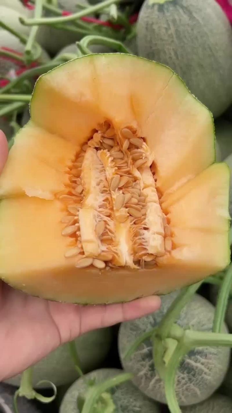 西周蜜25