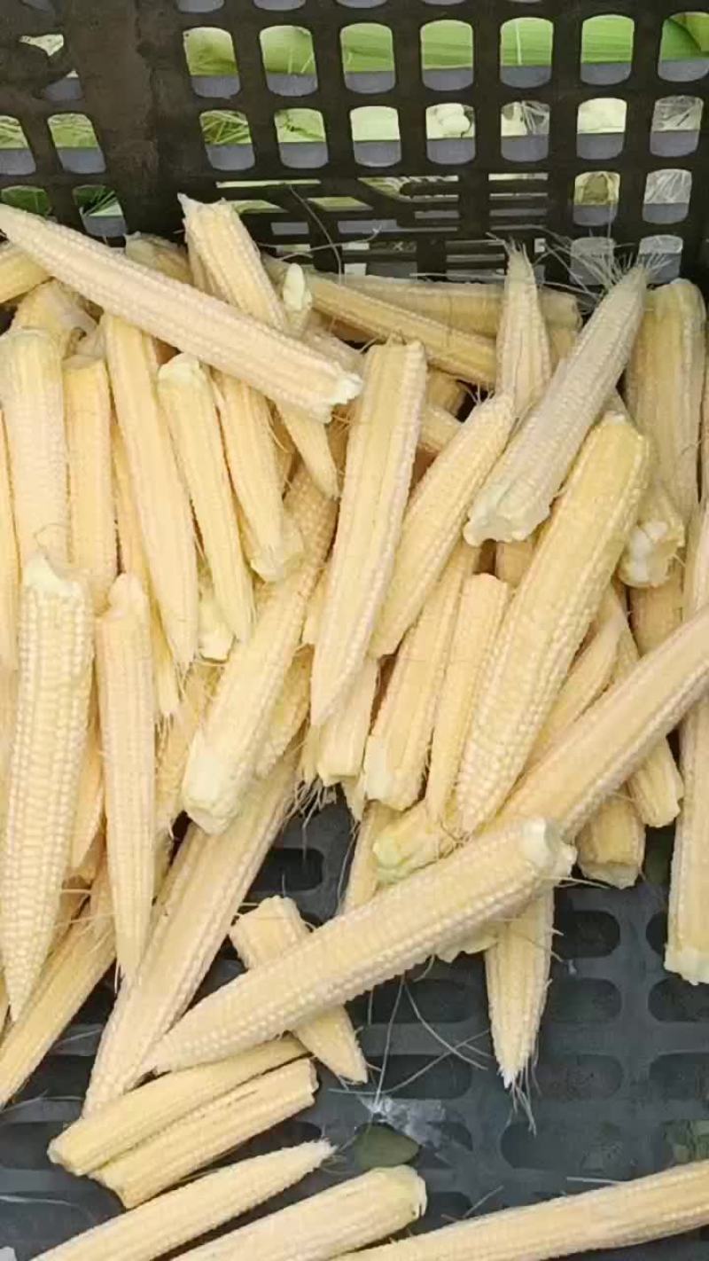 玉米笋
