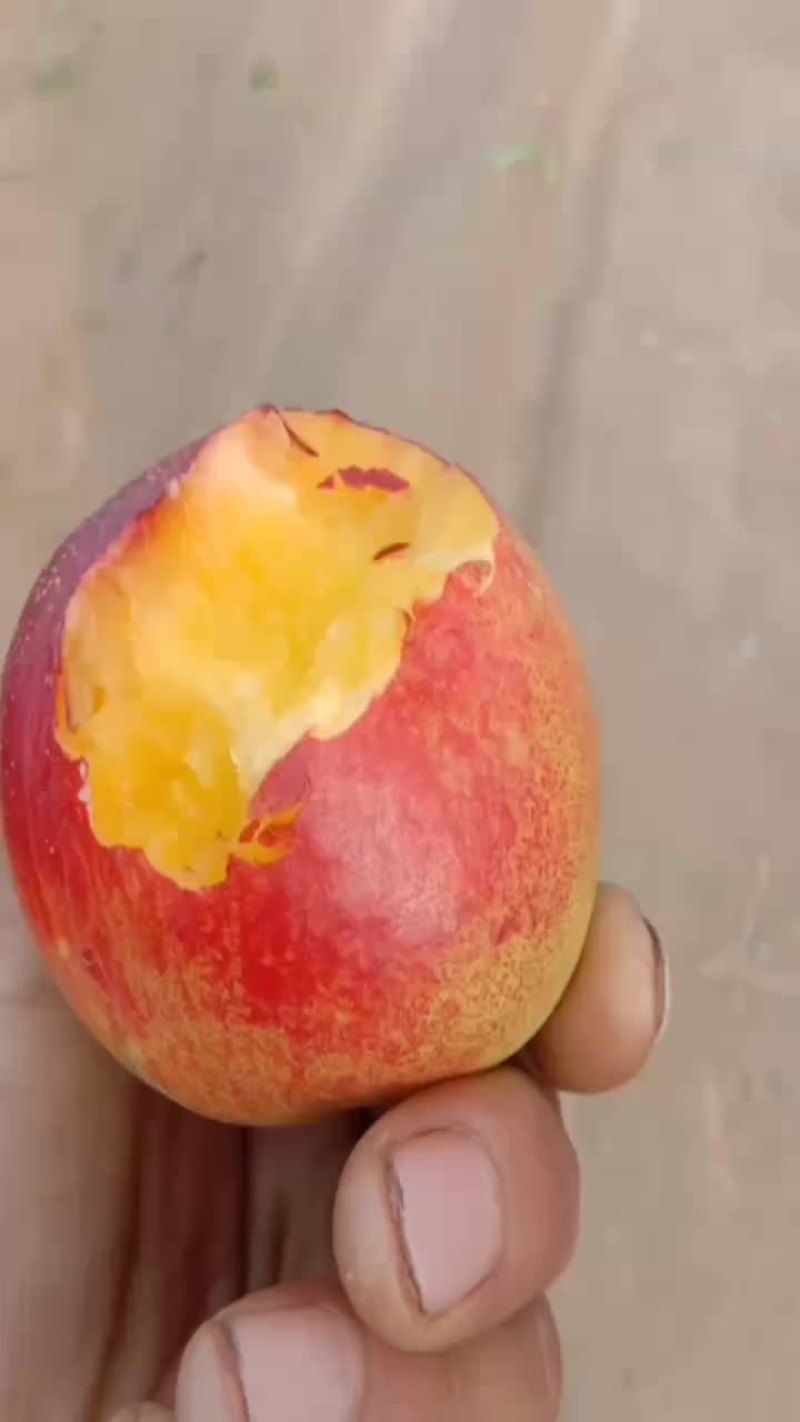 曙光甜油桃