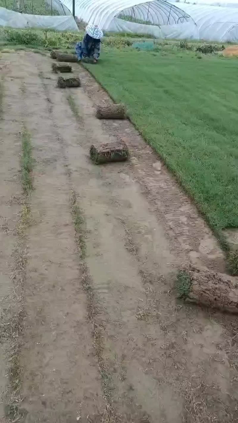 精品
