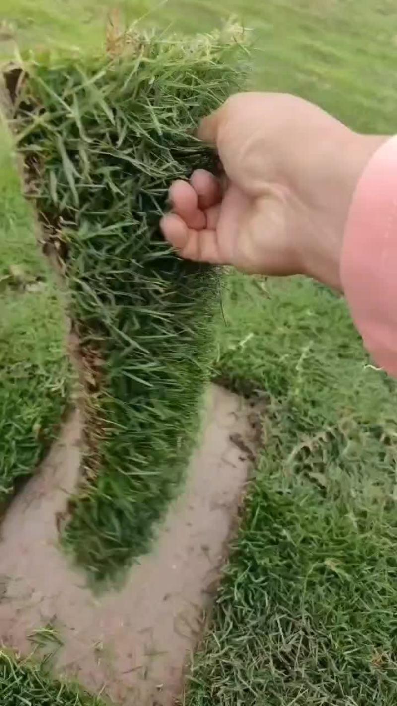 精品