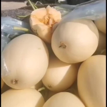 红金蜜