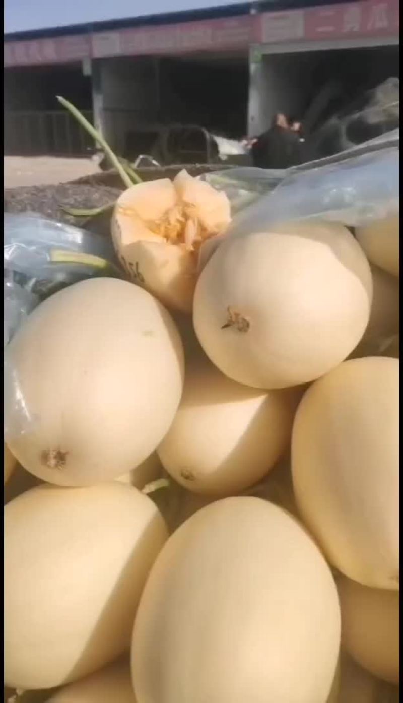 红金蜜