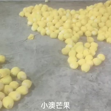 奥芒