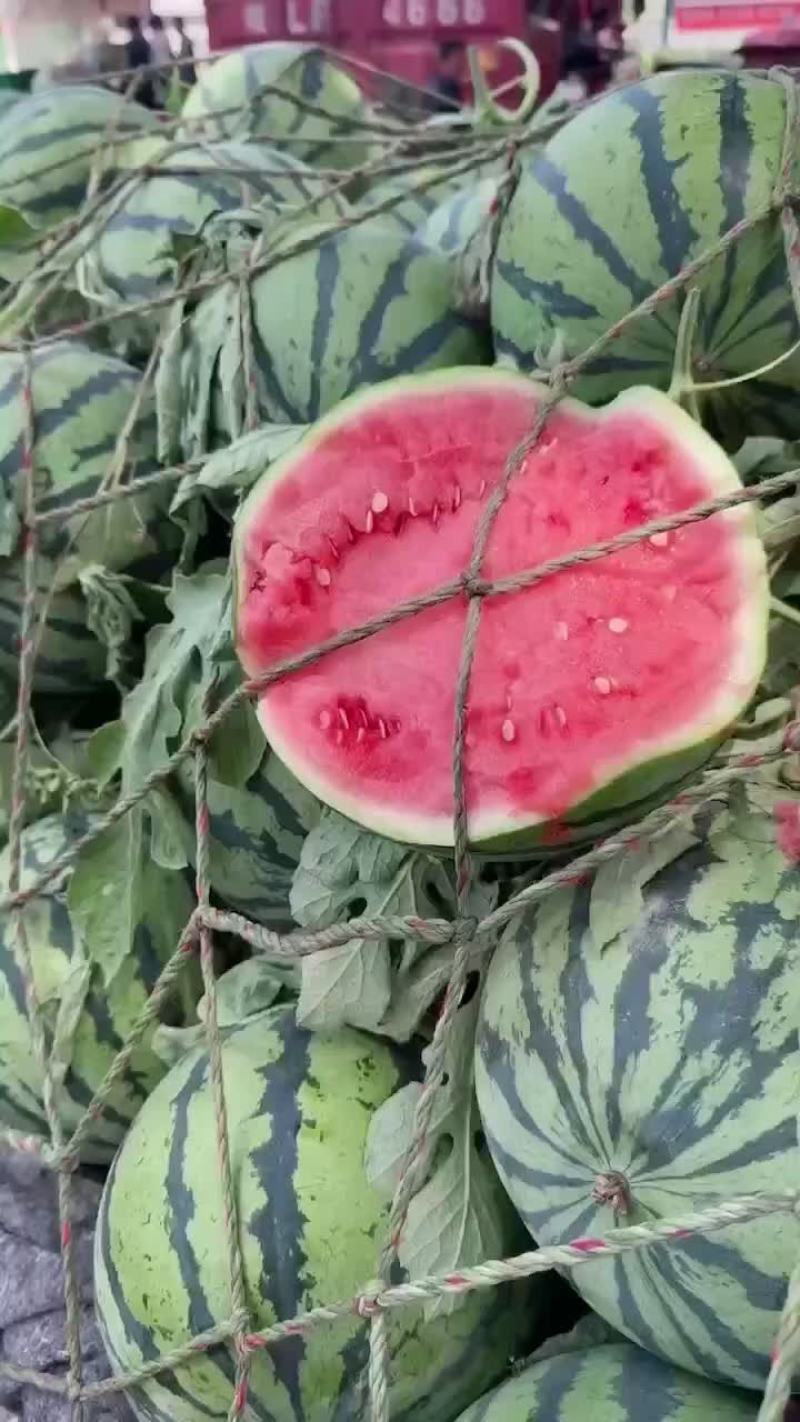 精品无籽美都