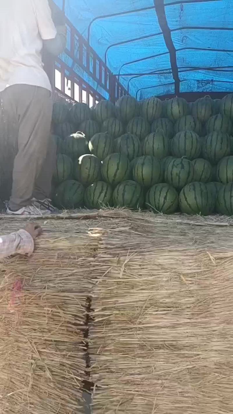 西瓜