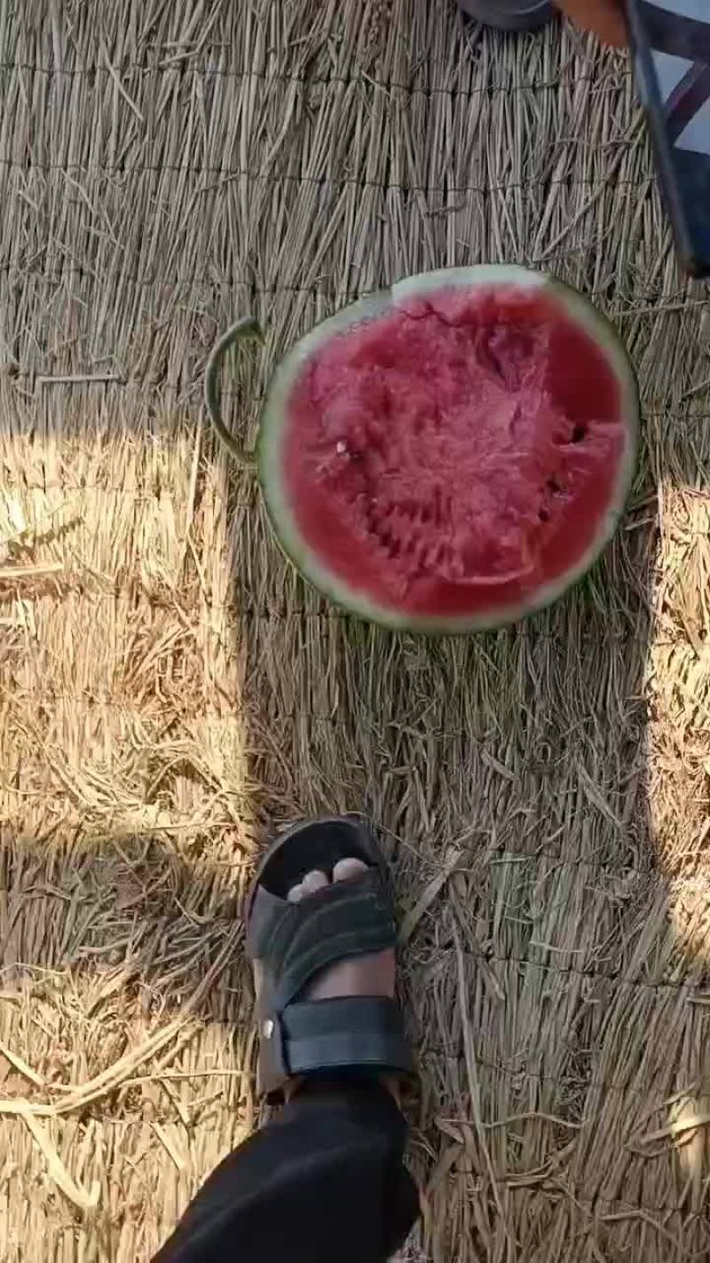 西瓜