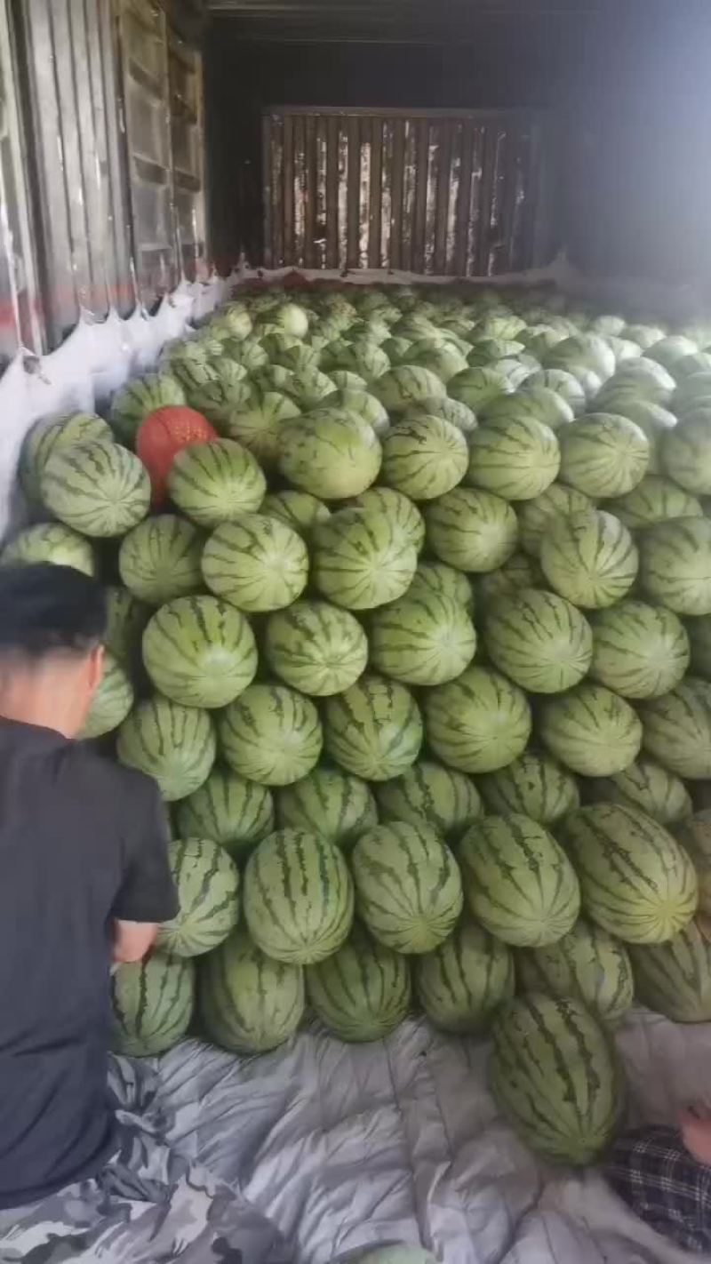 西瓜