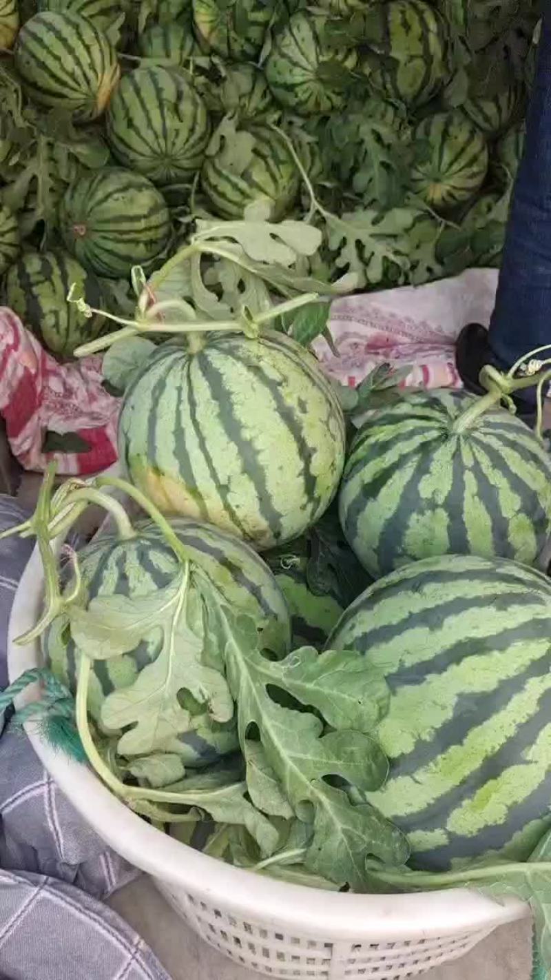 西瓜甜瓜
