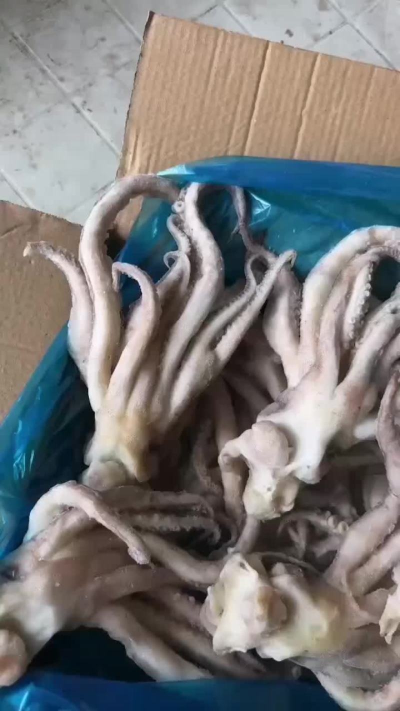 真鱿头，单冻真鱿，品质好，干货，口感好，常年有货，可定制