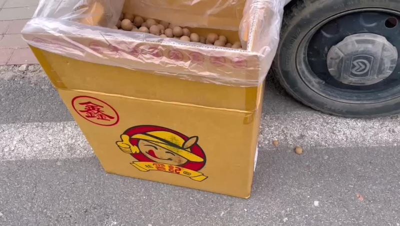 桂圆干货源充足保证质量视频看货