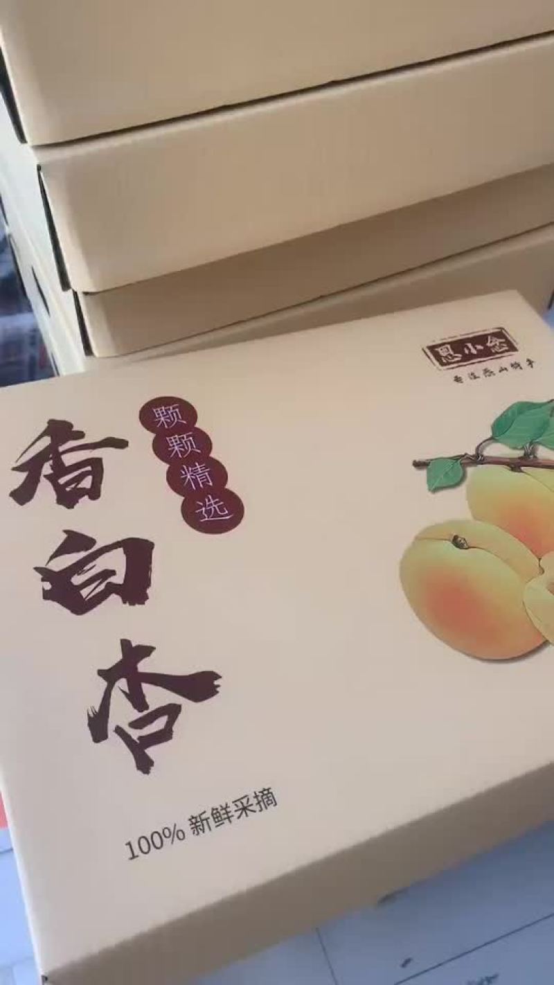 遵化娘娘庄香白杏正宗山坡香白杏超甜超好吃便宜又好
