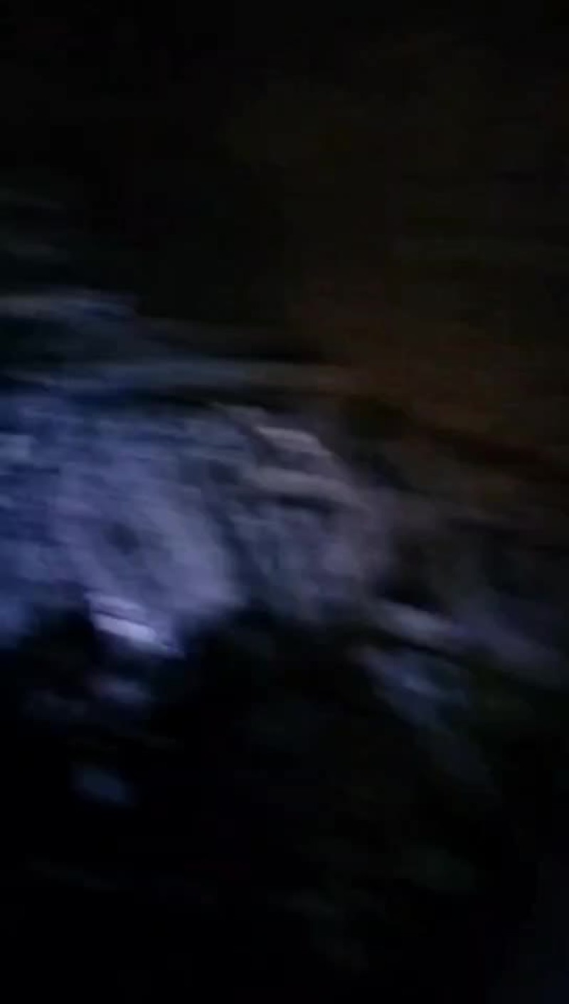 果木炭