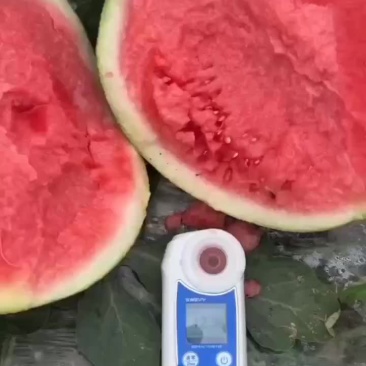 精品美都