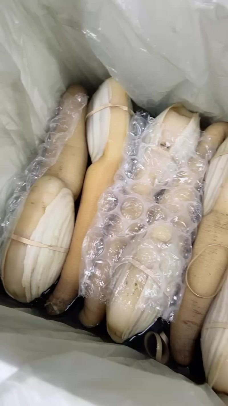 正宗加蚌