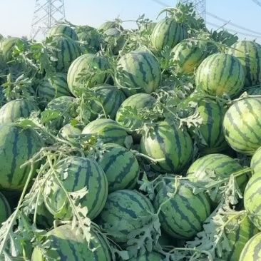 4567