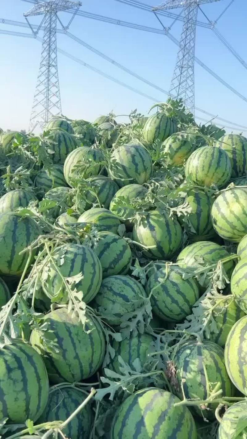 4567