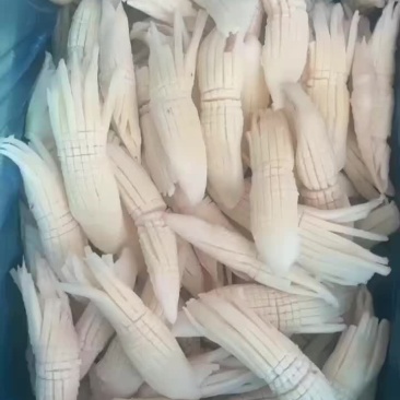 火箭鱿鱼，品质保证，花刻的深，价格便宜，口感好，货源充足