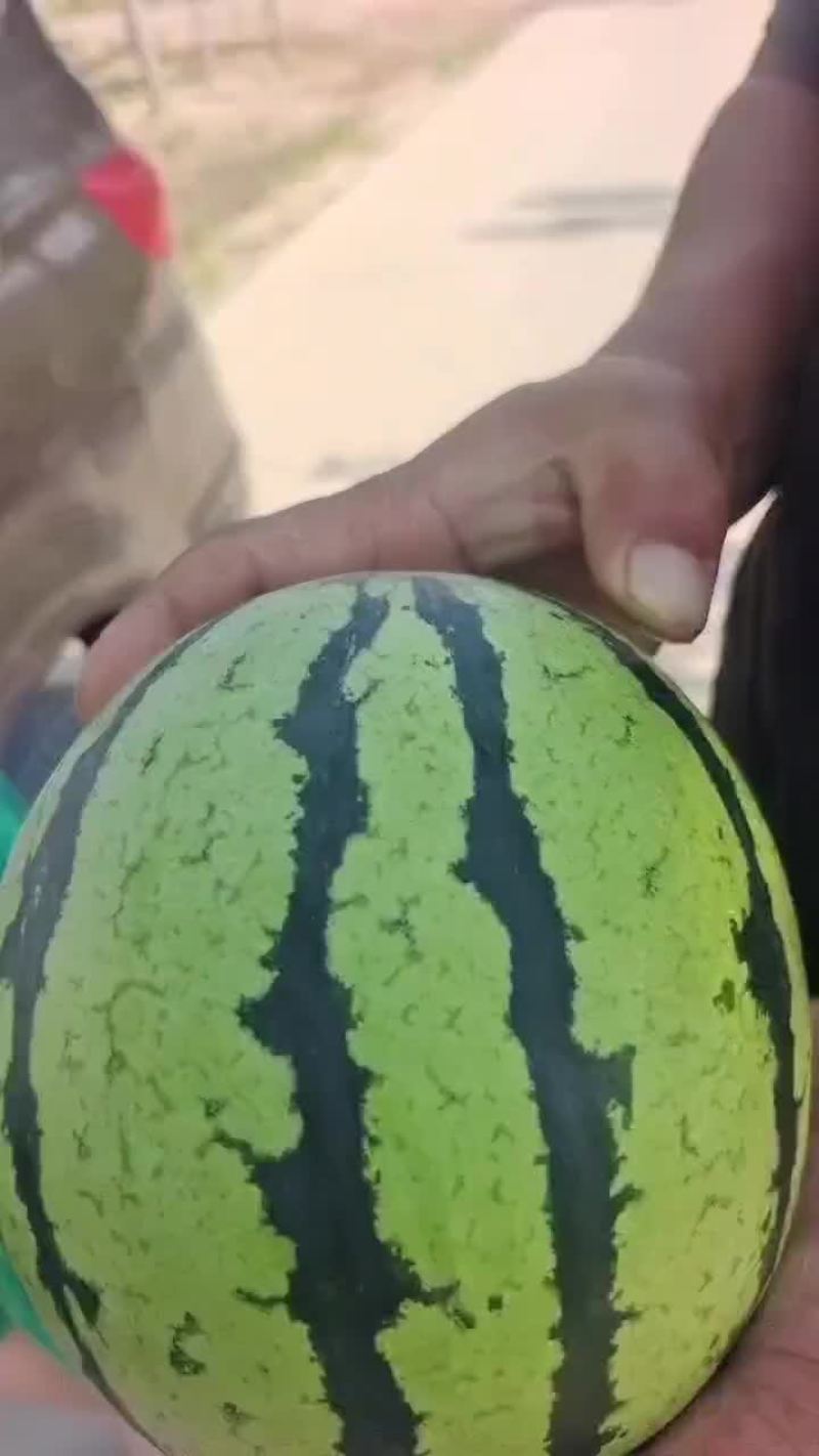 抬头西瓜京欣