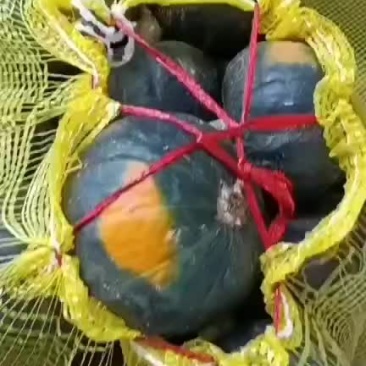 贝贝