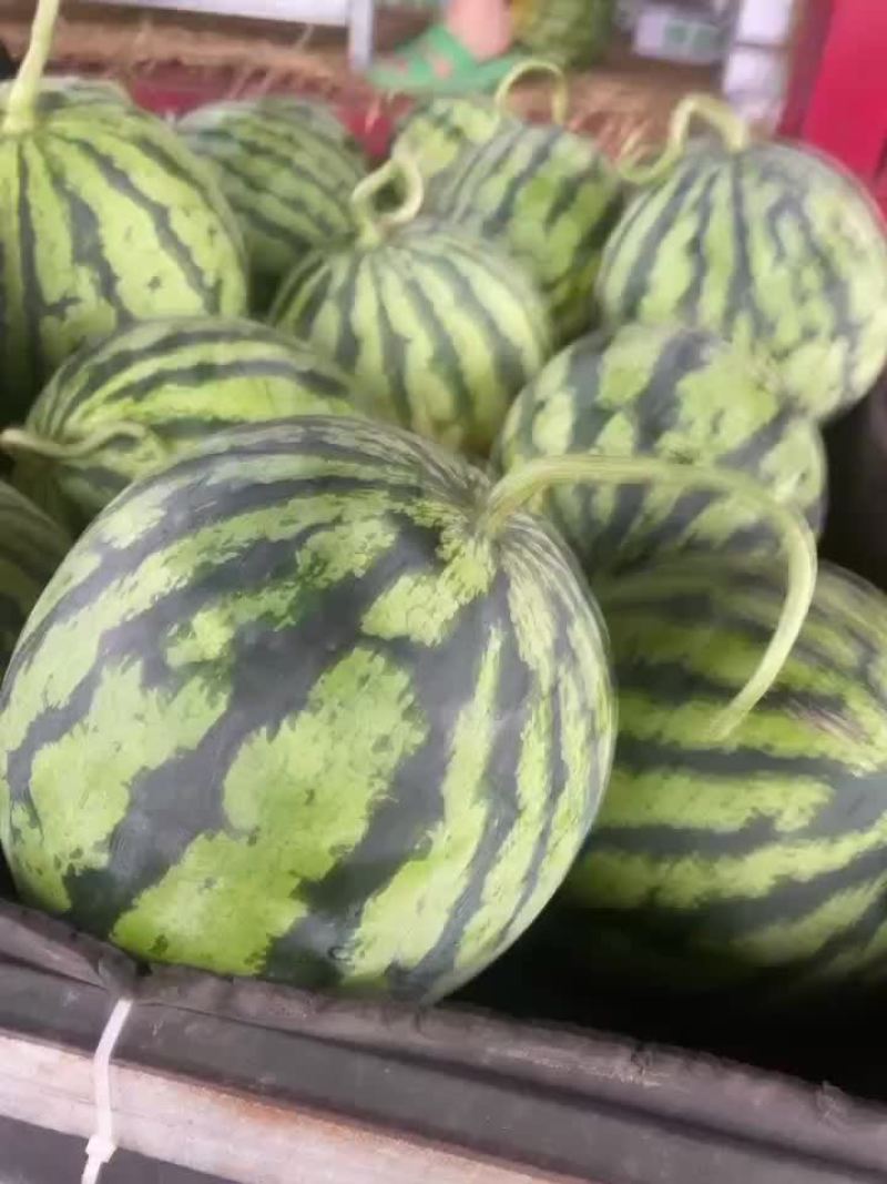 原棚无子美都