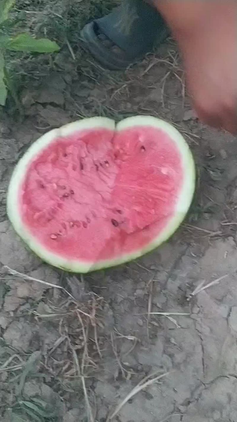 5_12