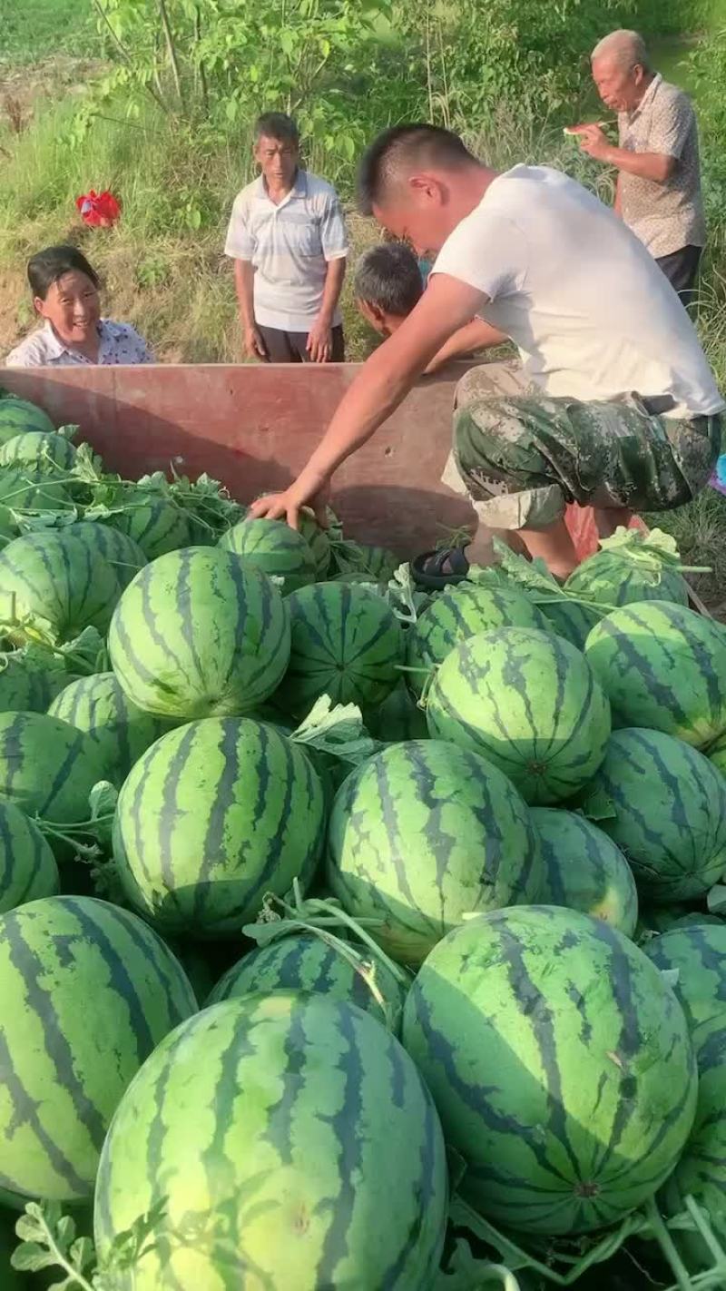 露天瓜好货