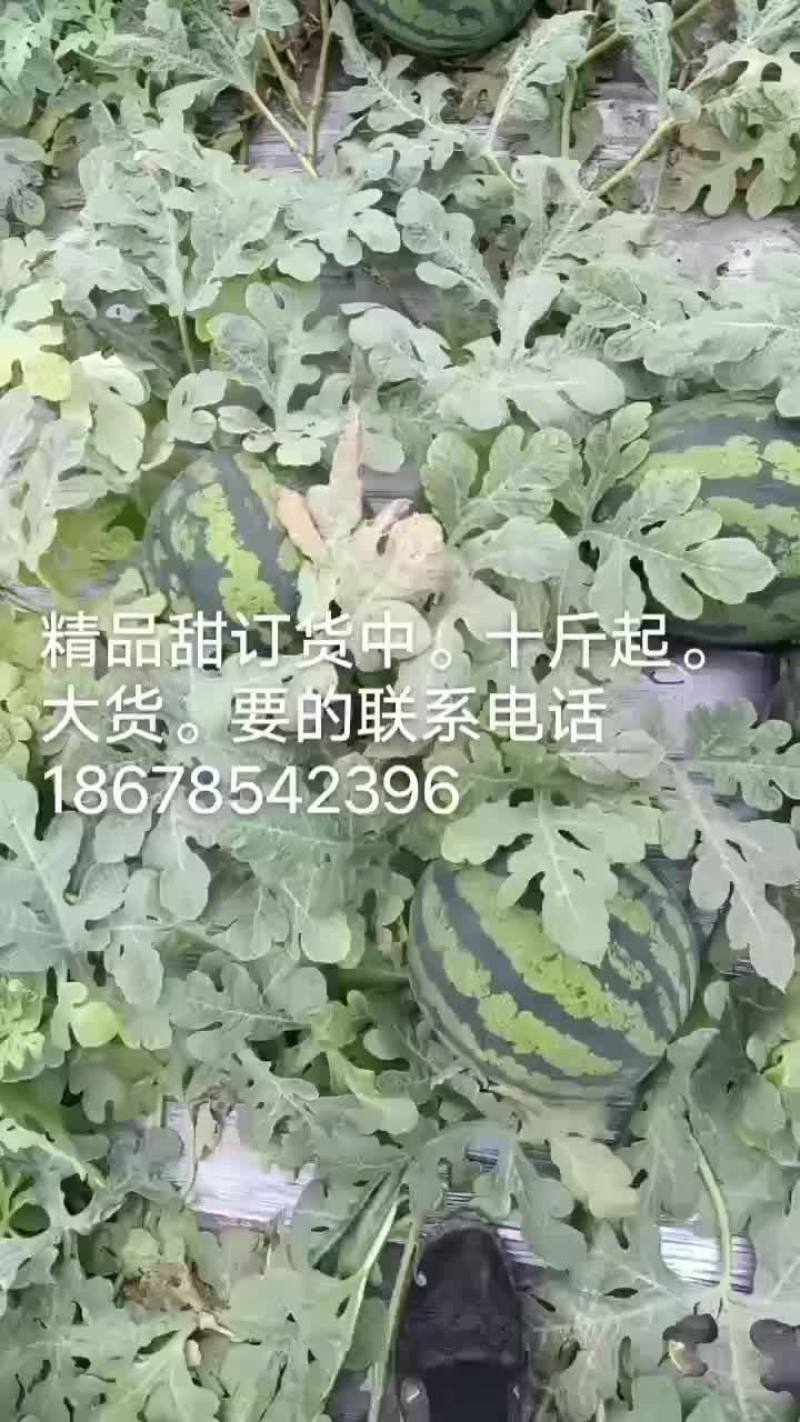 大家好
