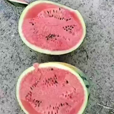 大家好