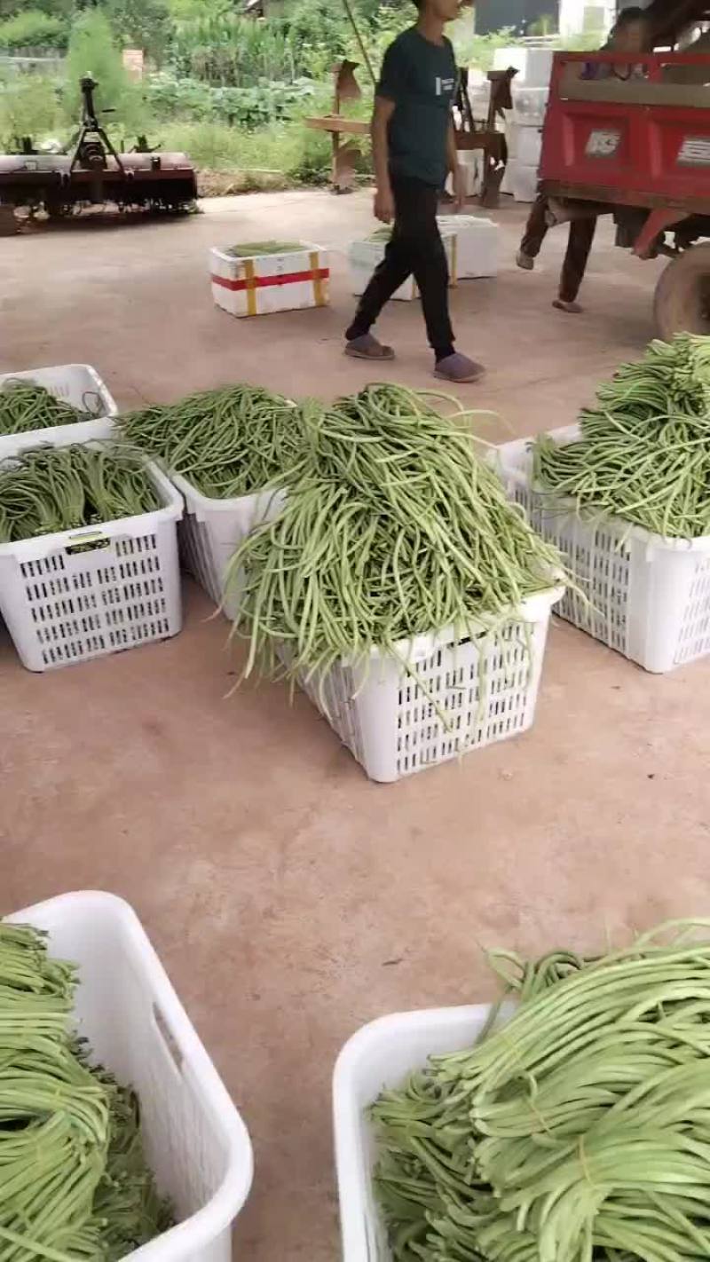 长豆角