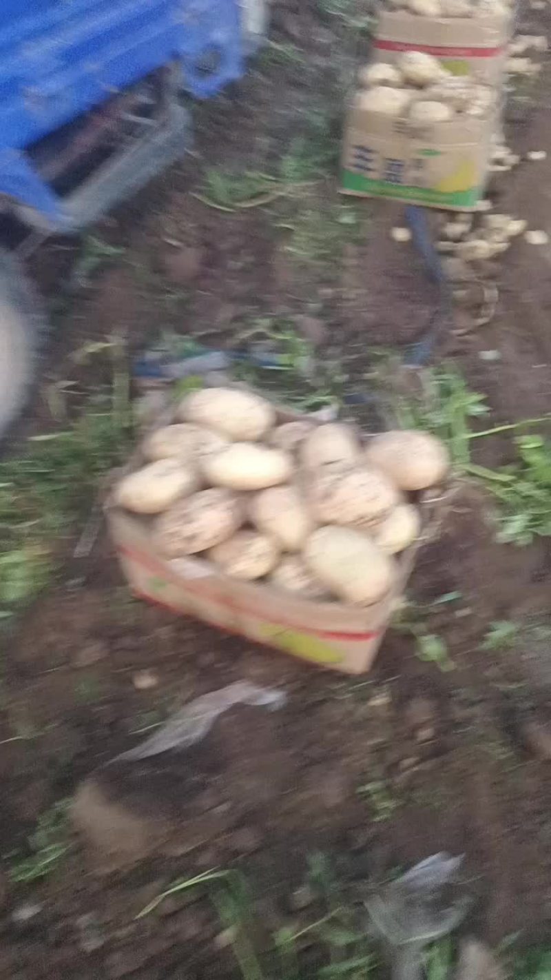 三两起步通天货