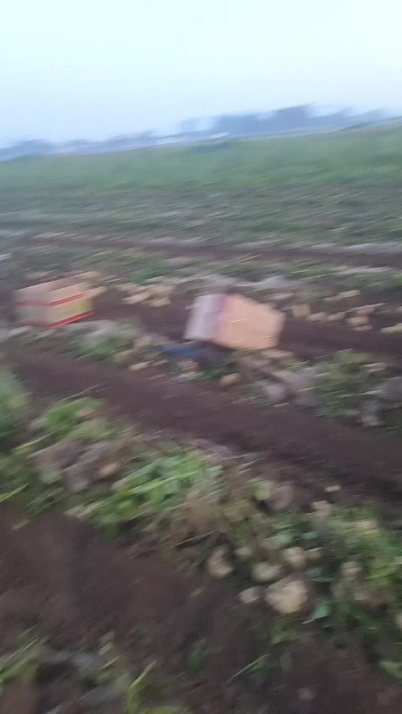 三两起步通天货