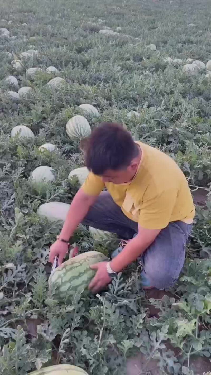 西瓜