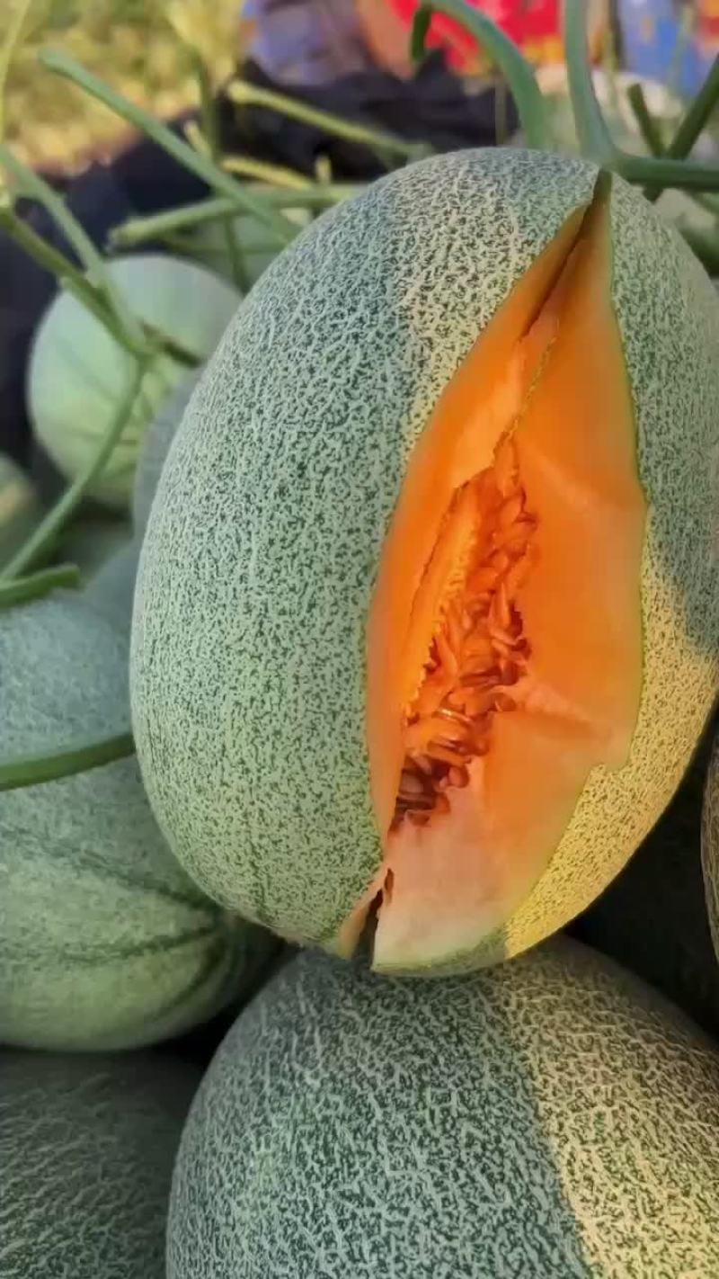西周蜜25