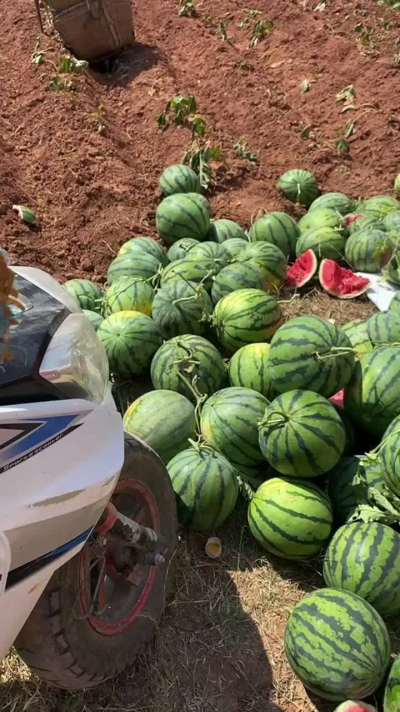 露天美都