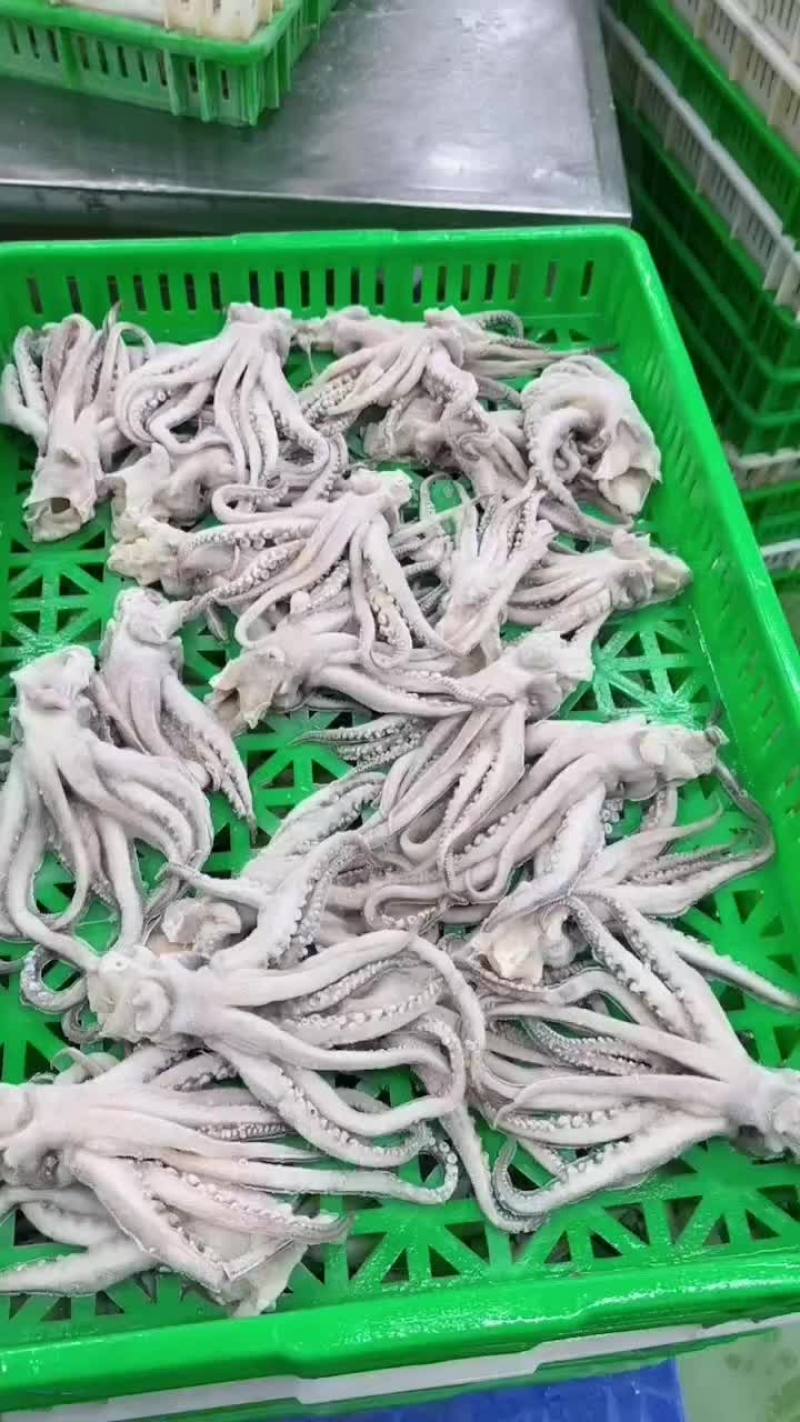 真鱿头，单冻真鱿，品质好，干货，口感好，常年有货，可定制