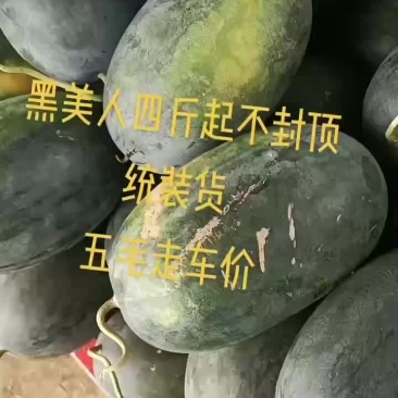 黑美人西瓜