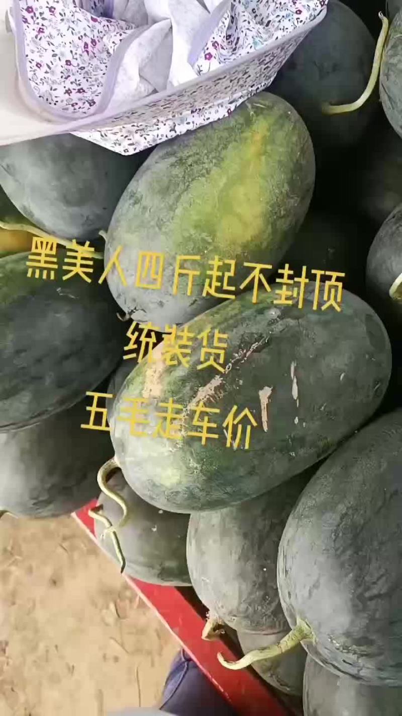 黑美人西瓜