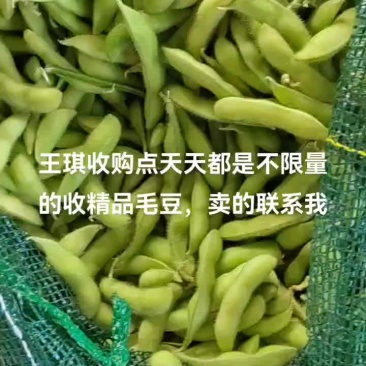 徐卅精品毛豆以大量上市，欢迎新老客户前来订单