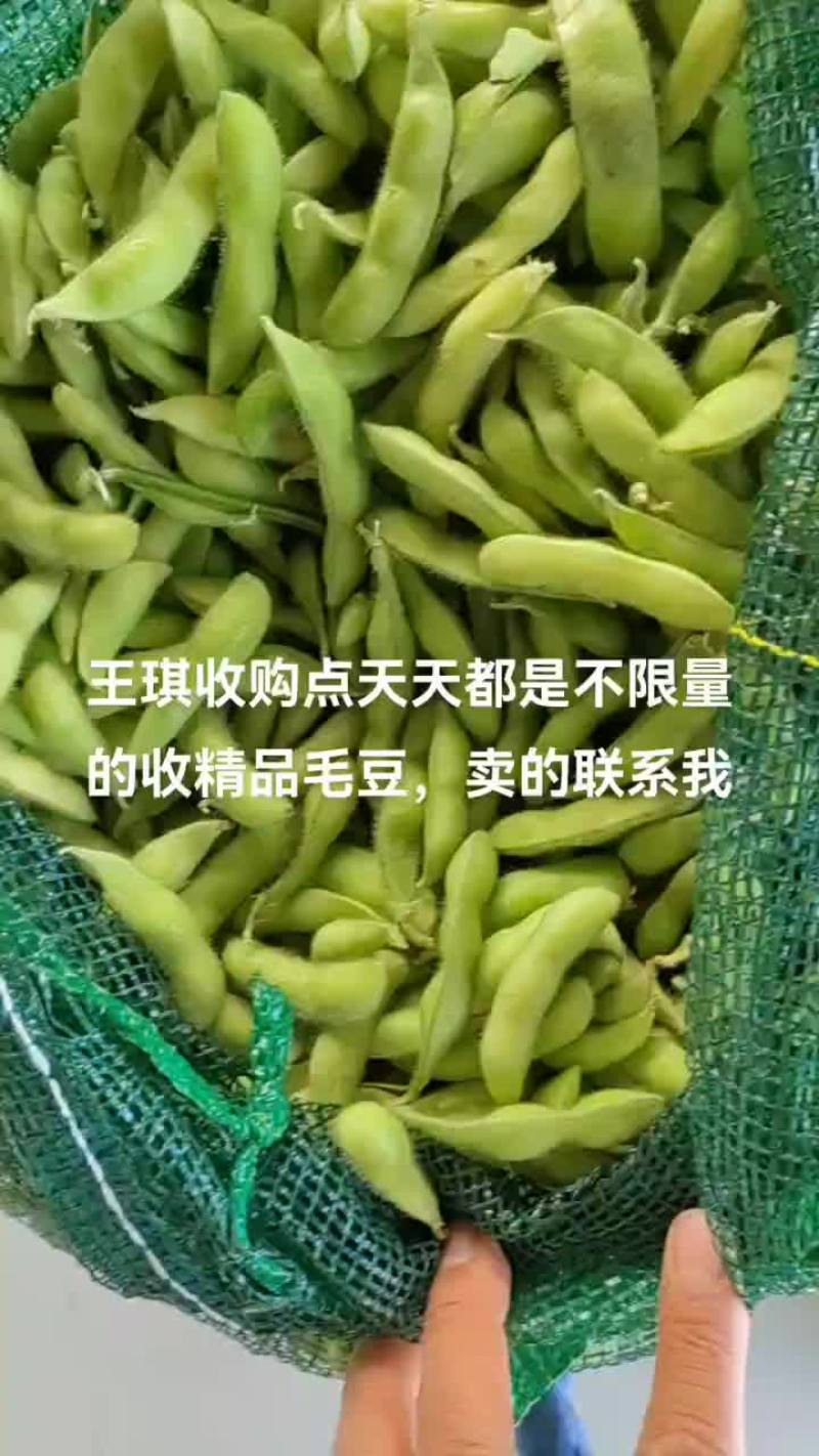 徐卅精品毛豆以大量上市，欢迎新老客户前来订单