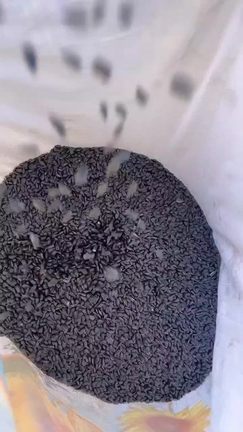 油葵