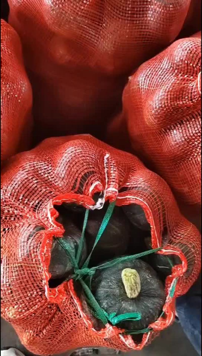 贝贝