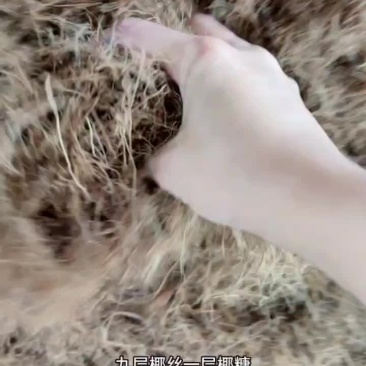 海南椰糠（细糠，中糠，粗糠）透气透水保湿保肥预防杂草丛生