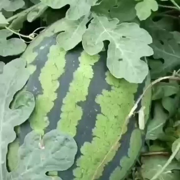 各位老板，有相中的与我联系