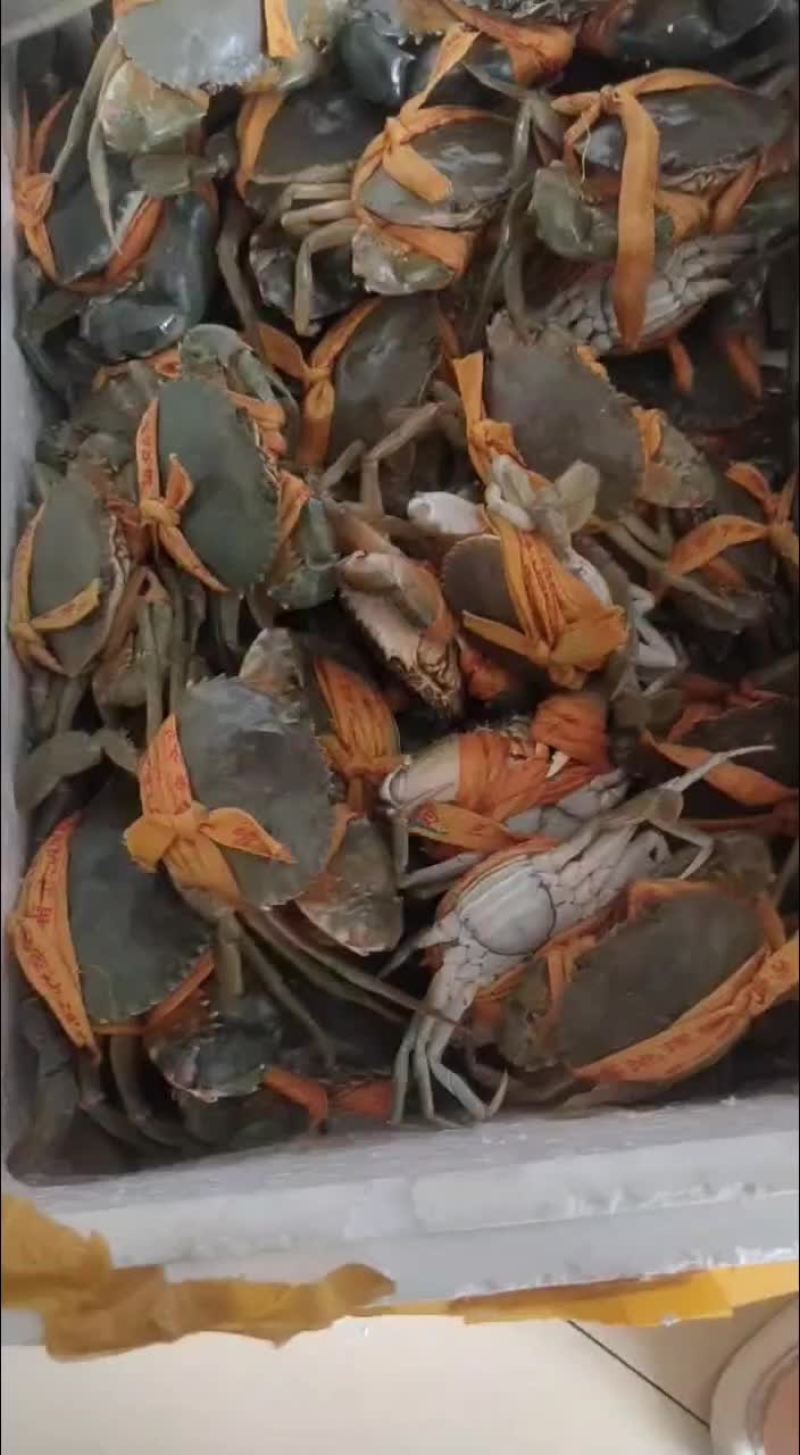 正宗三门青蟹