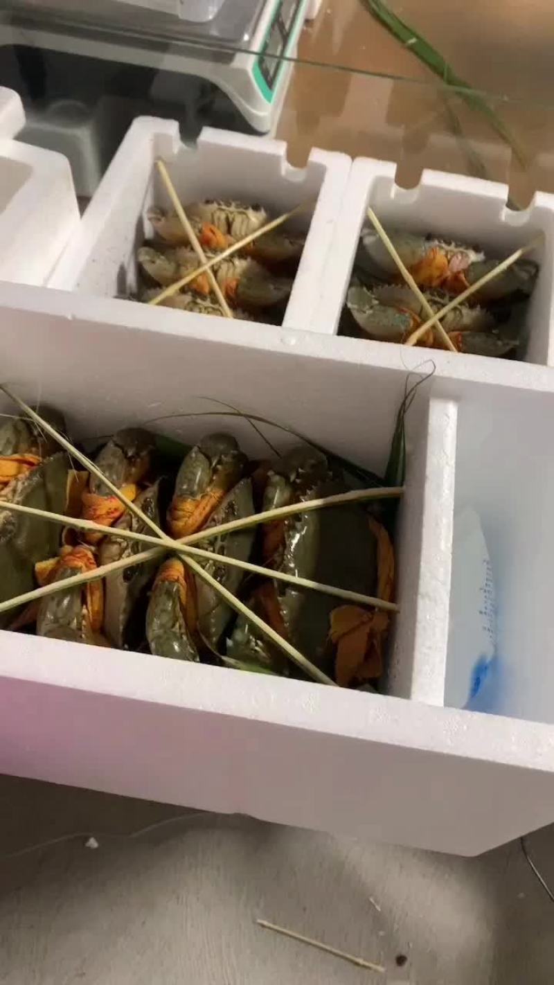 正宗三门青蟹